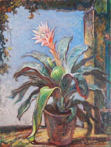 Bromiliad Plant