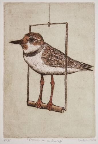 Plover on a Swing